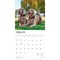 Weimaraners | 2026 12 x 24 Inch (Hanging) Monthly Square Wall Calendar | Plastic-Free